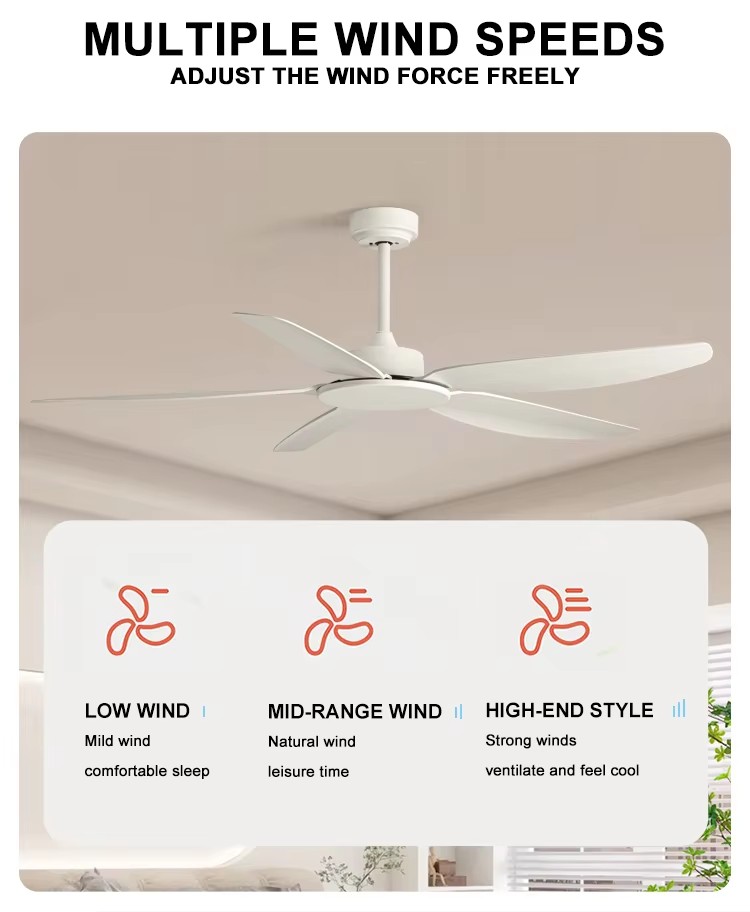Mini Socket Ceiling Fan